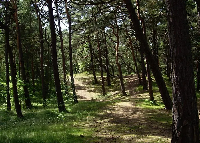 Apartament Bałtycka